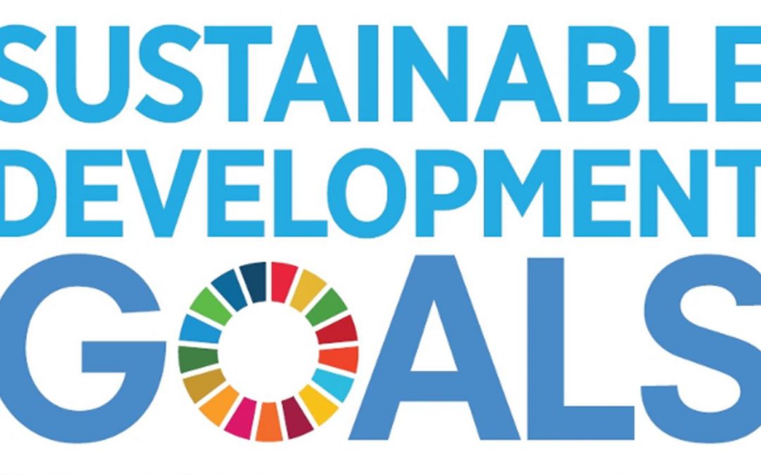 Sustainable Development Goals verbinden op alle niveaus